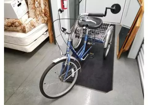 3 wheel bicycle